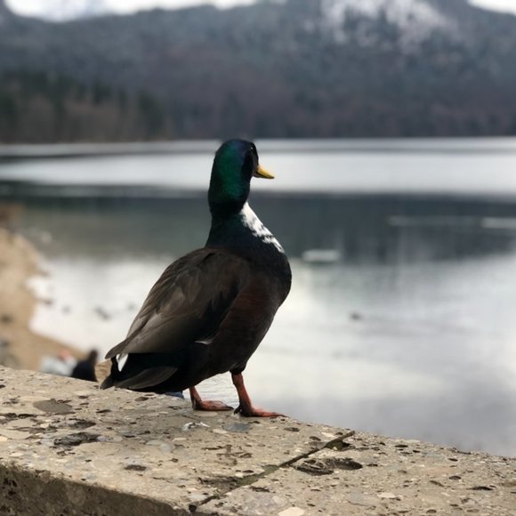 Meet your Posher, Claire - Picture 3 of 7